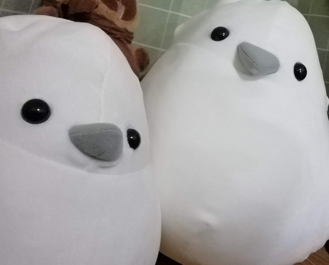 たーし